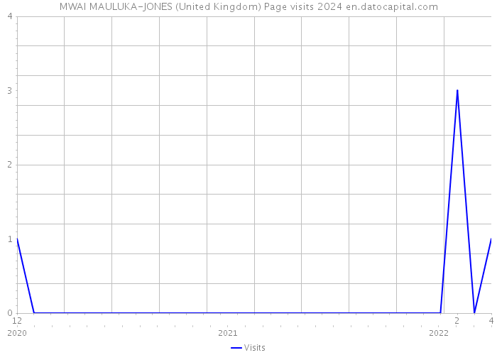 MWAI MAULUKA-JONES (United Kingdom) Page visits 2024 