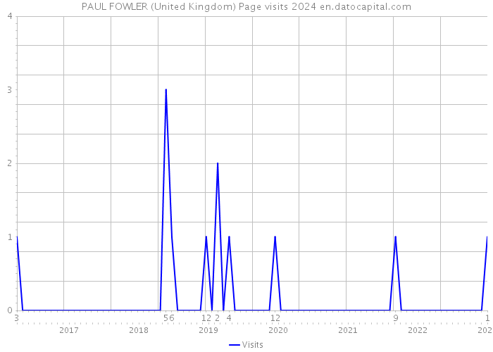 PAUL FOWLER (United Kingdom) Page visits 2024 