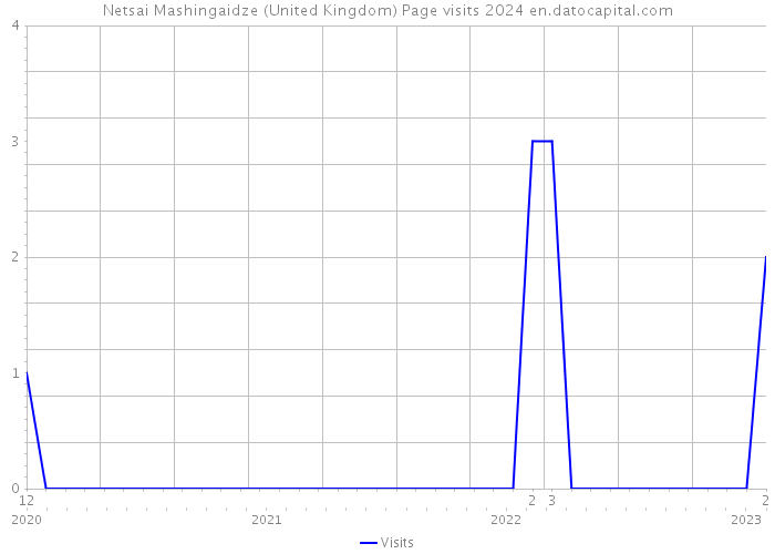 Netsai Mashingaidze (United Kingdom) Page visits 2024 