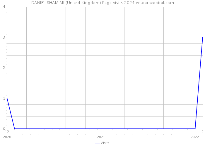 DANIEL SHAMIMI (United Kingdom) Page visits 2024 