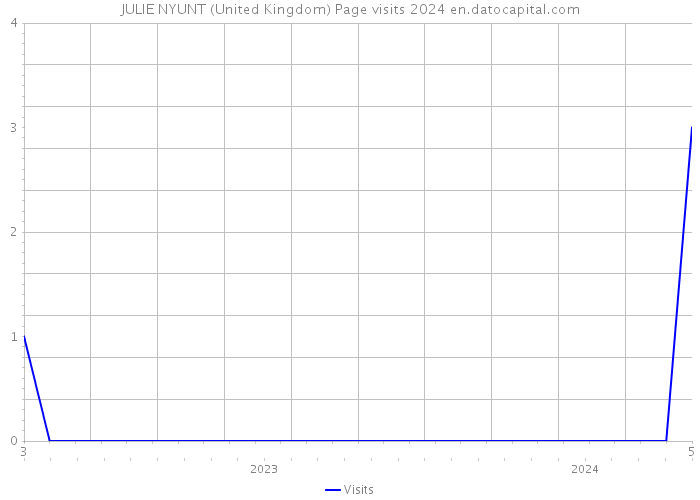 JULIE NYUNT (United Kingdom) Page visits 2024 