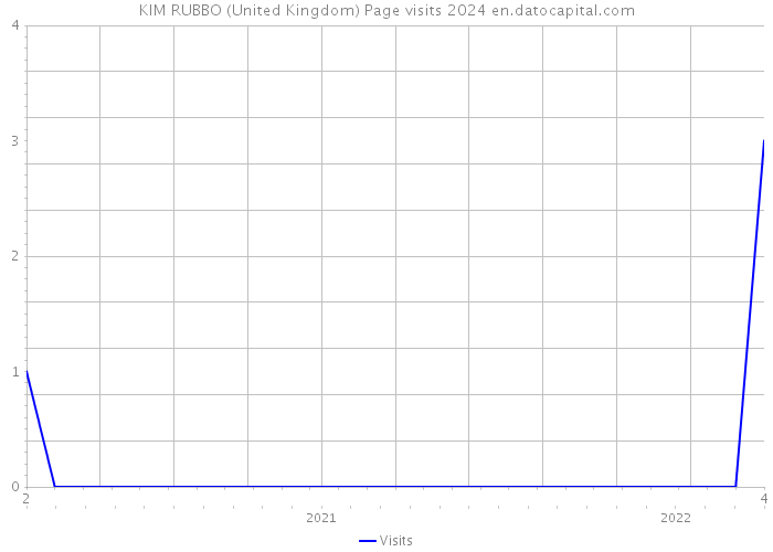 KIM RUBBO (United Kingdom) Page visits 2024 