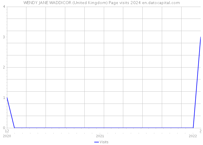 WENDY JANE WADDICOR (United Kingdom) Page visits 2024 
