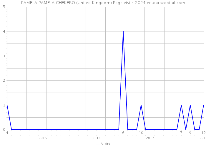 PAMELA PAMELA CHEKERO (United Kingdom) Page visits 2024 