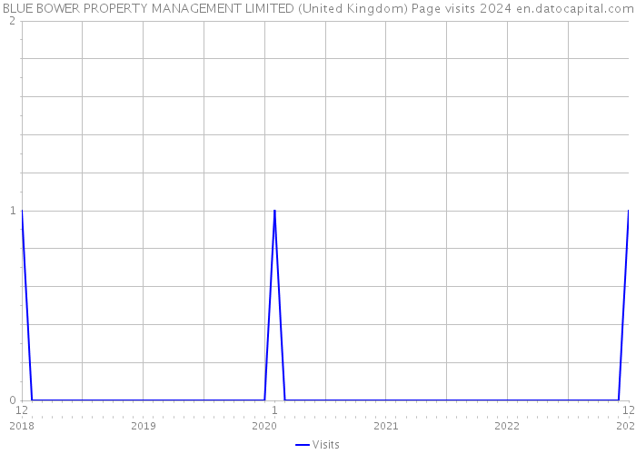 BLUE BOWER PROPERTY MANAGEMENT LIMITED (United Kingdom) Page visits 2024 