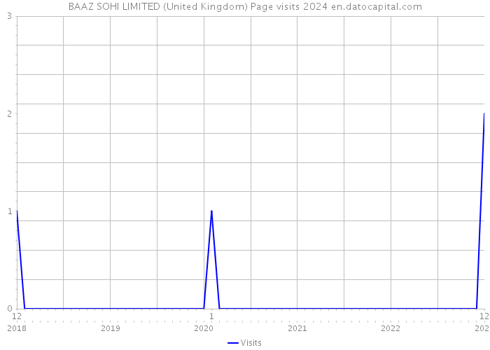 BAAZ SOHI LIMITED (United Kingdom) Page visits 2024 