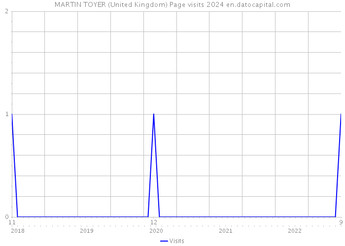 MARTIN TOYER (United Kingdom) Page visits 2024 