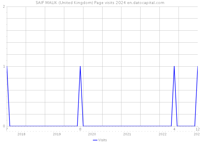 SAIF MALIK (United Kingdom) Page visits 2024 