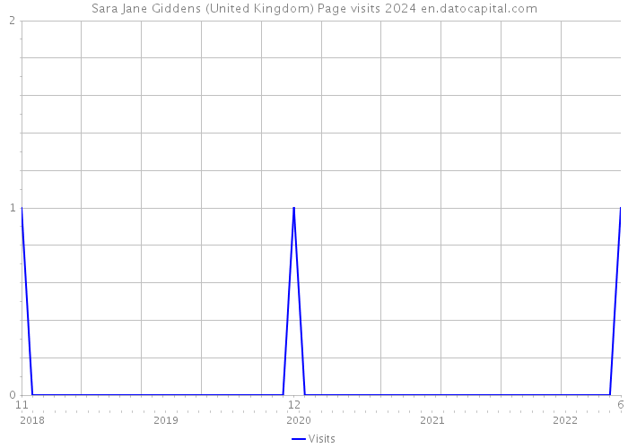 Sara Jane Giddens (United Kingdom) Page visits 2024 