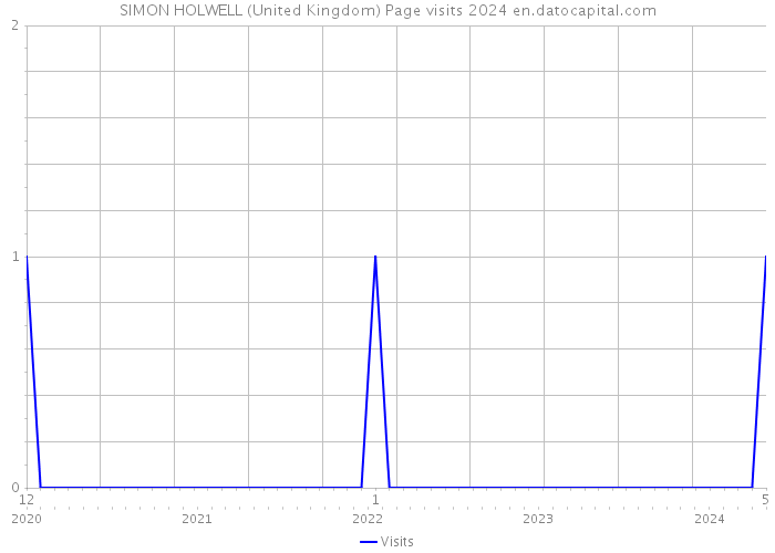 SIMON HOLWELL (United Kingdom) Page visits 2024 