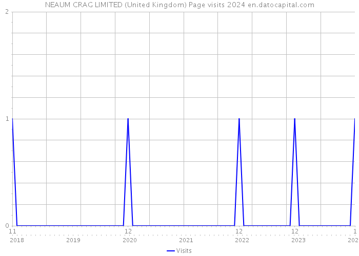 NEAUM CRAG LIMITED (United Kingdom) Page visits 2024 