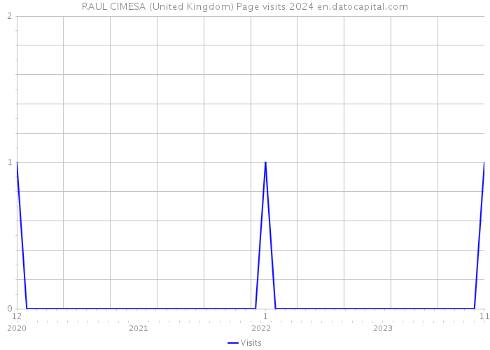 RAUL CIMESA (United Kingdom) Page visits 2024 
