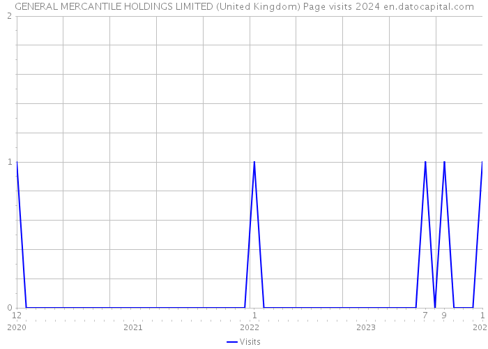 GENERAL MERCANTILE HOLDINGS LIMITED (United Kingdom) Page visits 2024 