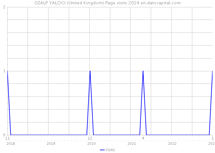 OZALP YALCICI (United Kingdom) Page visits 2024 