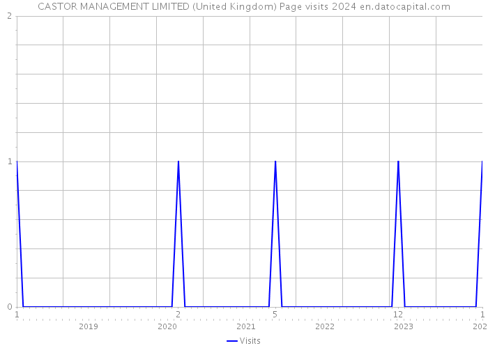 CASTOR MANAGEMENT LIMITED (United Kingdom) Page visits 2024 