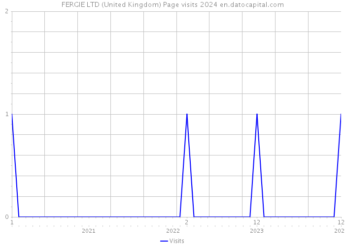 FERGIE LTD (United Kingdom) Page visits 2024 