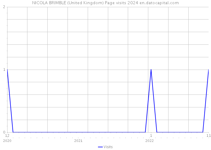 NICOLA BRIMBLE (United Kingdom) Page visits 2024 