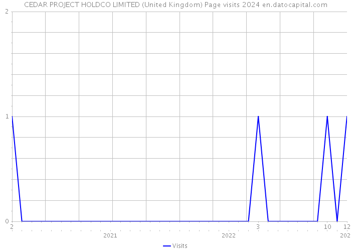 CEDAR PROJECT HOLDCO LIMITED (United Kingdom) Page visits 2024 