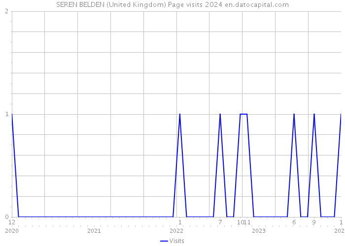 SEREN BELDEN (United Kingdom) Page visits 2024 