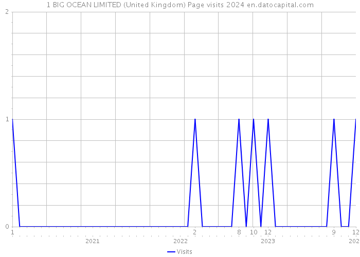 1 BIG OCEAN LIMITED (United Kingdom) Page visits 2024 