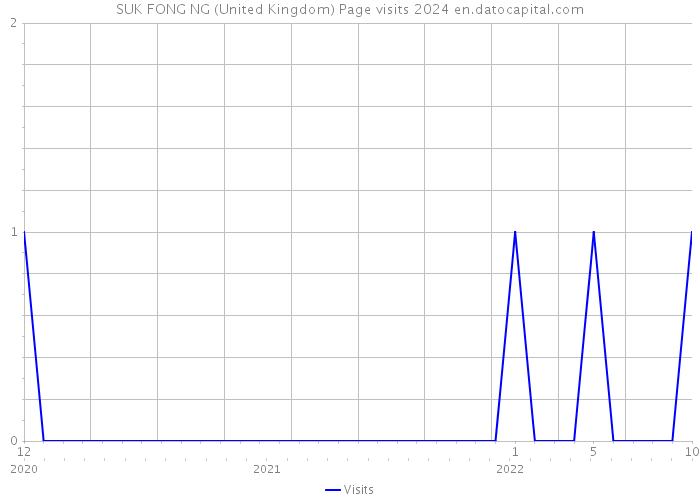 SUK FONG NG (United Kingdom) Page visits 2024 