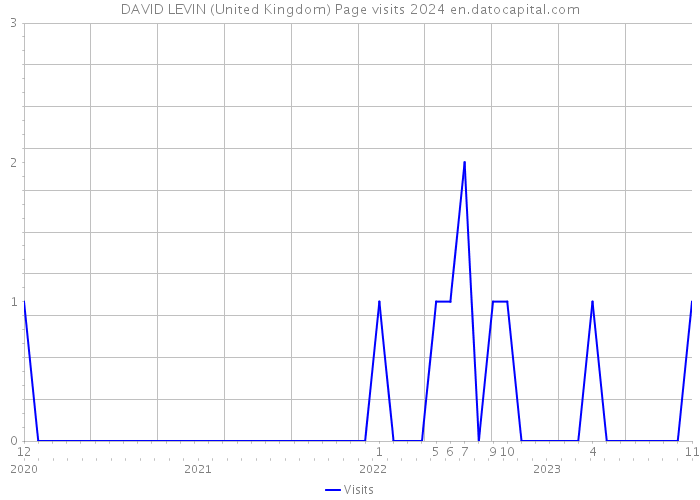 DAVID LEVIN (United Kingdom) Page visits 2024 