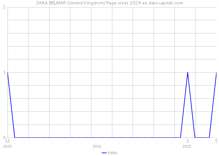 ZARA BELMAR (United Kingdom) Page visits 2024 