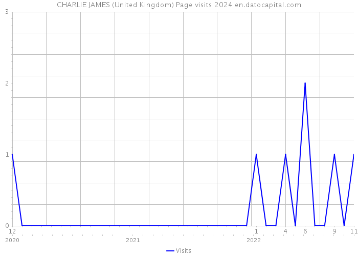 CHARLIE JAMES (United Kingdom) Page visits 2024 