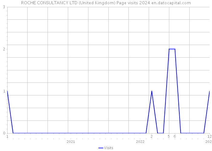 ROCHE CONSULTANCY LTD (United Kingdom) Page visits 2024 
