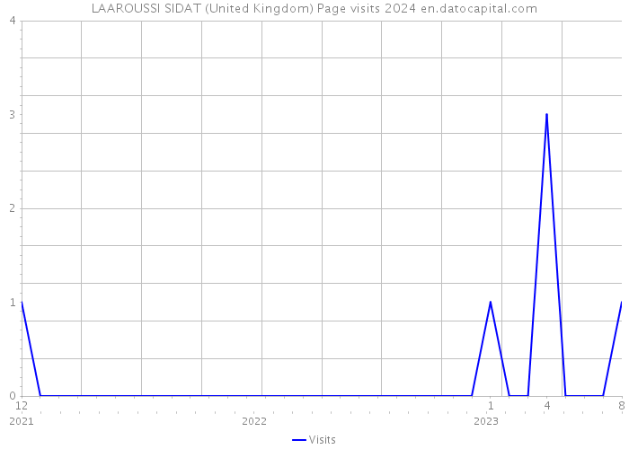 LAAROUSSI SIDAT (United Kingdom) Page visits 2024 