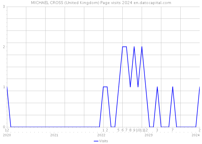 MICHAEL CROSS (United Kingdom) Page visits 2024 