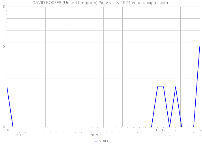 DAVID ROSSER (United Kingdom) Page visits 2024 