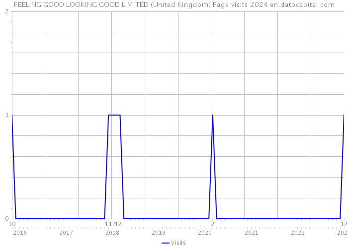 FEELING GOOD LOOKING GOOD LIMITED (United Kingdom) Page visits 2024 