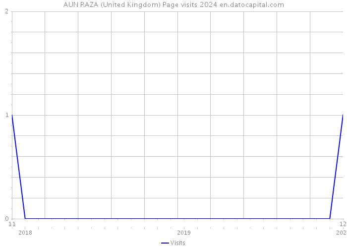 AUN RAZA (United Kingdom) Page visits 2024 
