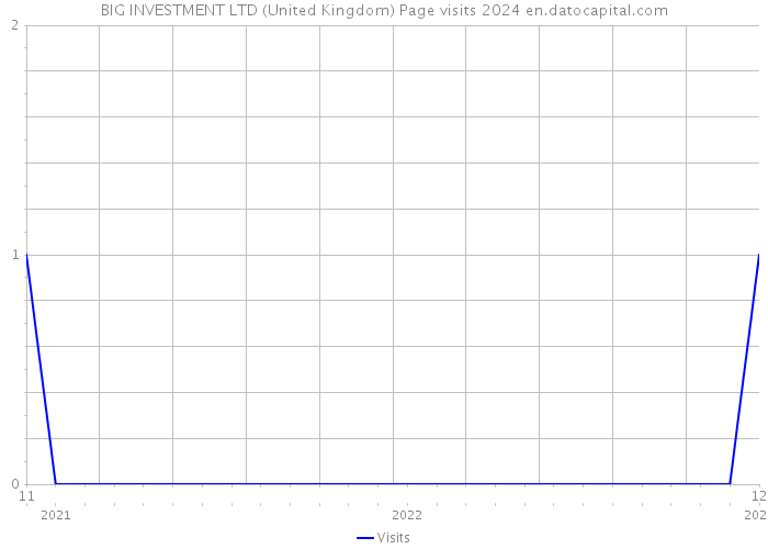 BIG INVESTMENT LTD (United Kingdom) Page visits 2024 