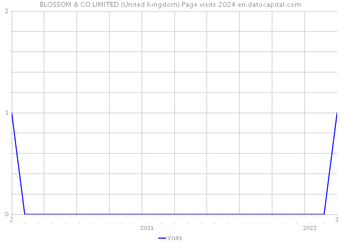 BLOSSOM & CO LIMITED (United Kingdom) Page visits 2024 