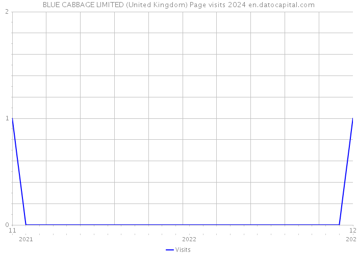 BLUE CABBAGE LIMITED (United Kingdom) Page visits 2024 