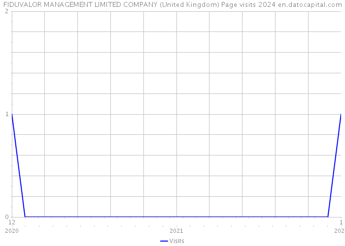 FIDUVALOR MANAGEMENT LIMITED COMPANY (United Kingdom) Page visits 2024 