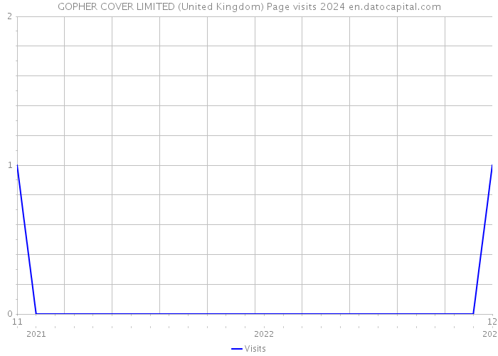 GOPHER COVER LIMITED (United Kingdom) Page visits 2024 