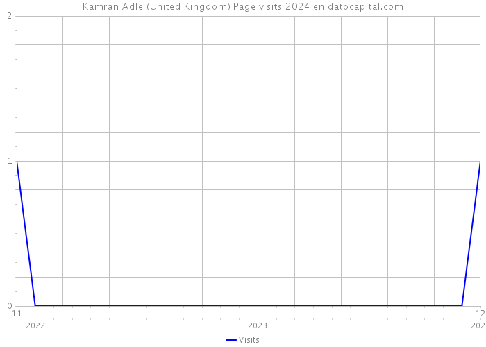 Kamran Adle (United Kingdom) Page visits 2024 