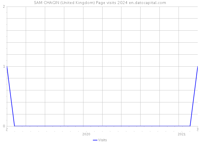SAM CHAGIN (United Kingdom) Page visits 2024 