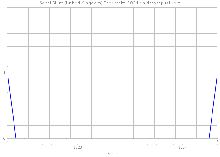 Senai Sium (United Kingdom) Page visits 2024 