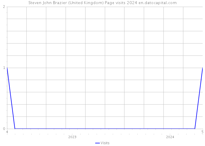Steven John Brazier (United Kingdom) Page visits 2024 