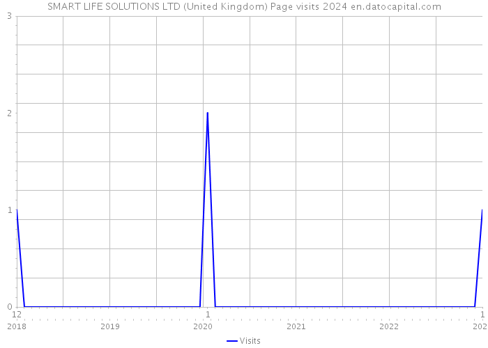 SMART LIFE SOLUTIONS LTD (United Kingdom) Page visits 2024 