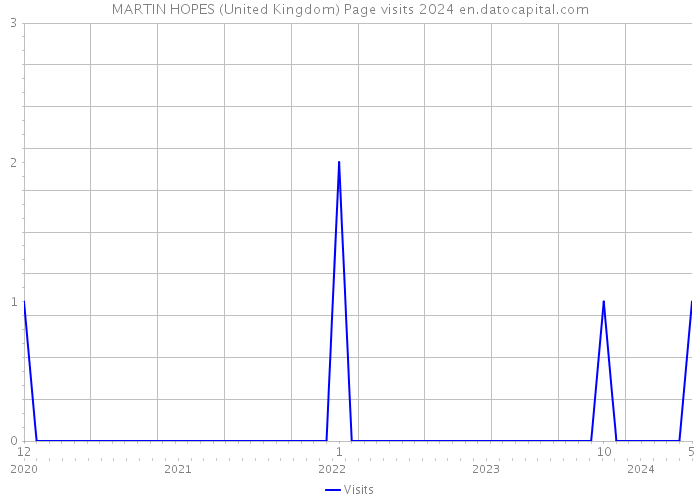 MARTIN HOPES (United Kingdom) Page visits 2024 