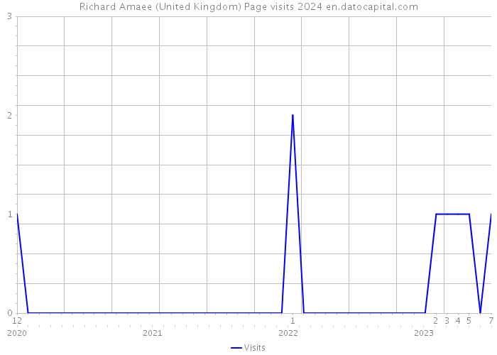 Richard Amaee (United Kingdom) Page visits 2024 