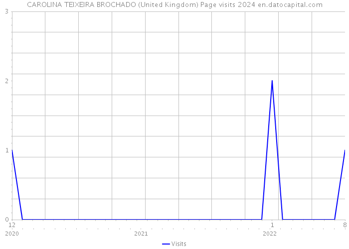 CAROLINA TEIXEIRA BROCHADO (United Kingdom) Page visits 2024 