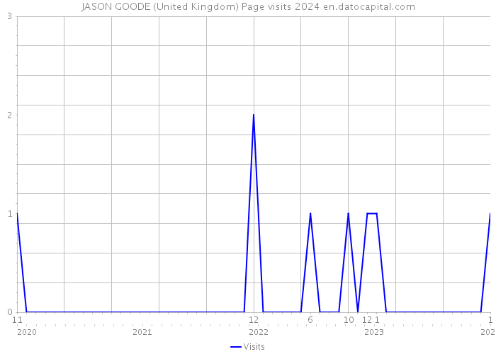 JASON GOODE (United Kingdom) Page visits 2024 