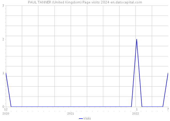 PAUL TANNER (United Kingdom) Page visits 2024 