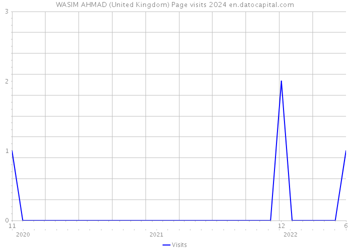 WASIM AHMAD (United Kingdom) Page visits 2024 